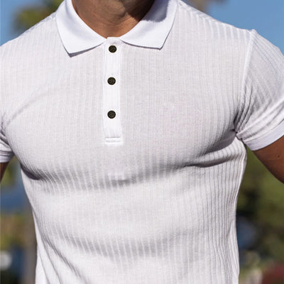 Aule Muscle Knit Polo